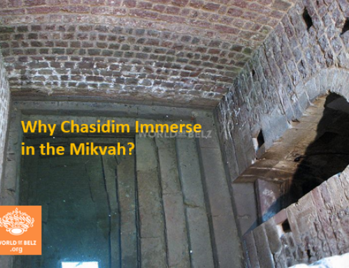 Why Chasidim Immerse in the Mikvah?