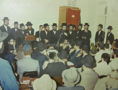 Ba’alei Teshuva in Chasidish Courts (Video)